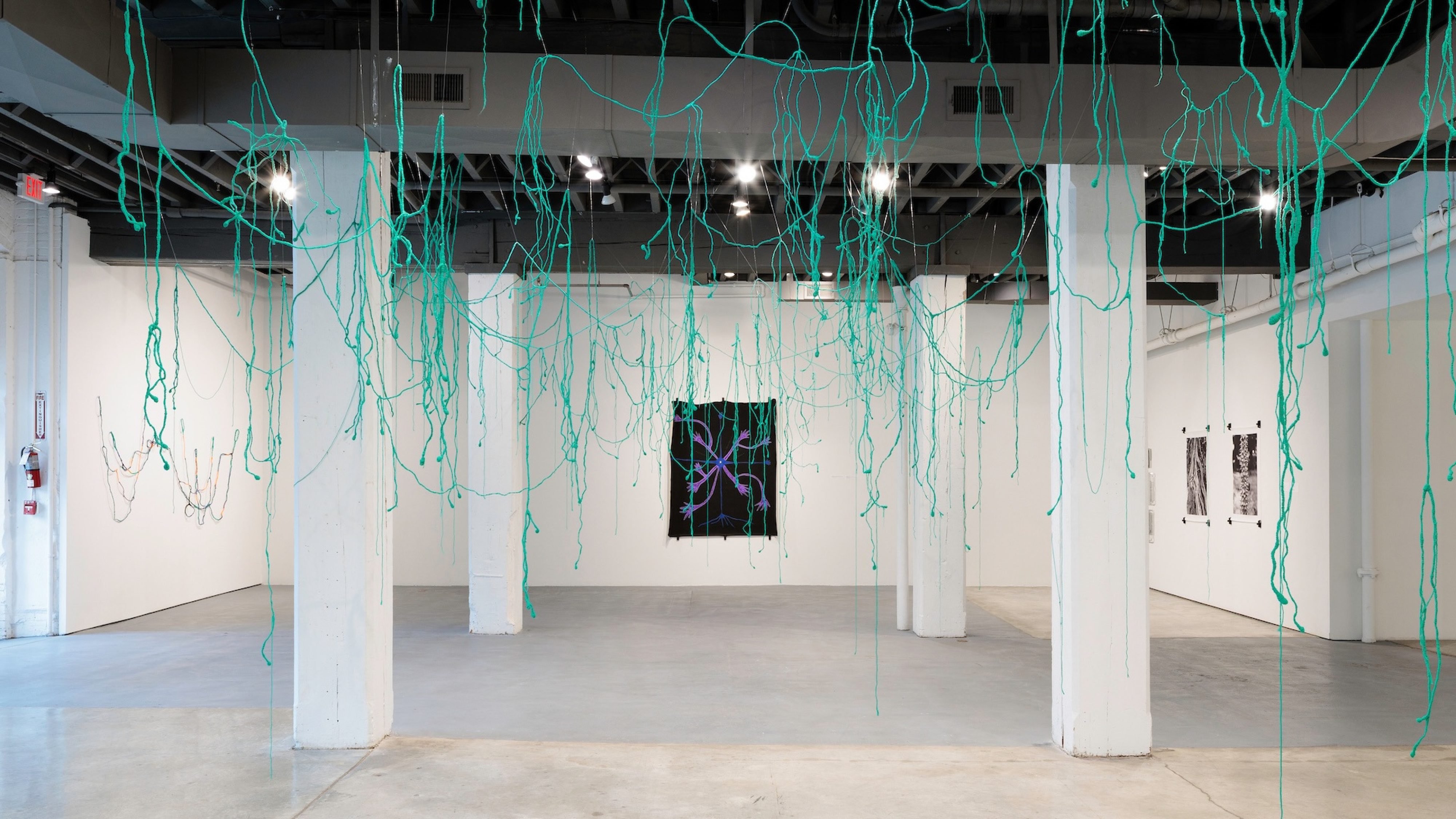 Bemis Artist Bemis Center for Contemporary Arts | Bemis Center for Contemporary Arts