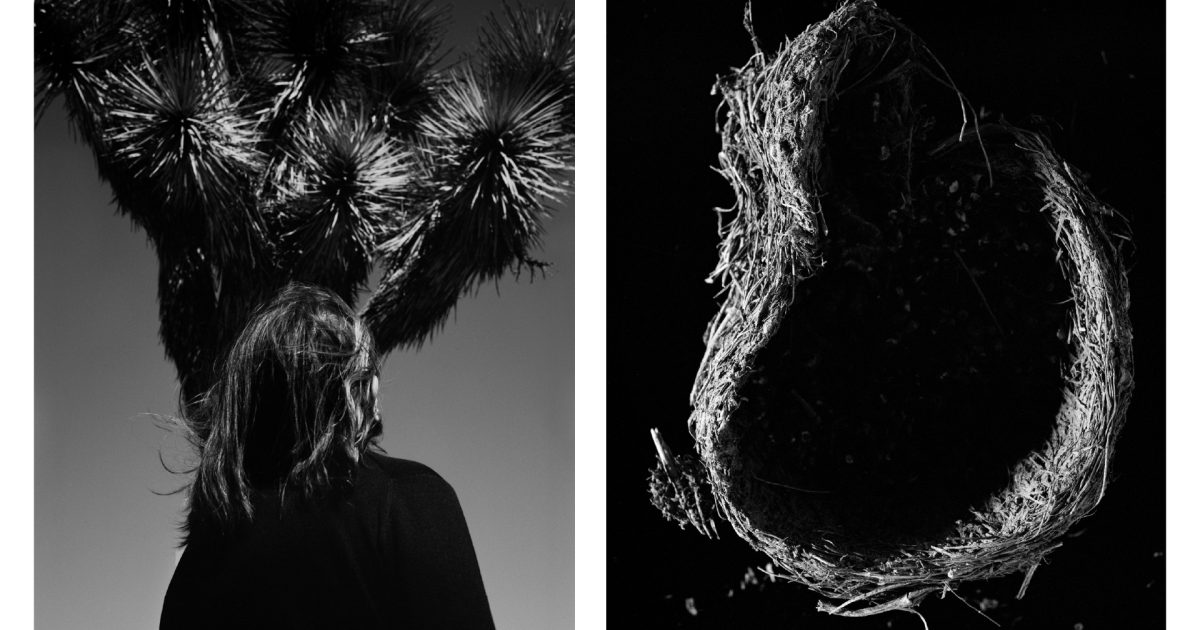 MOTHER TIME: Measuring ourselves within the landscape