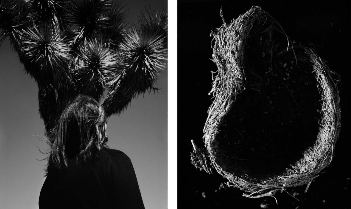 MOTHER TIME Header Image 1920x1080