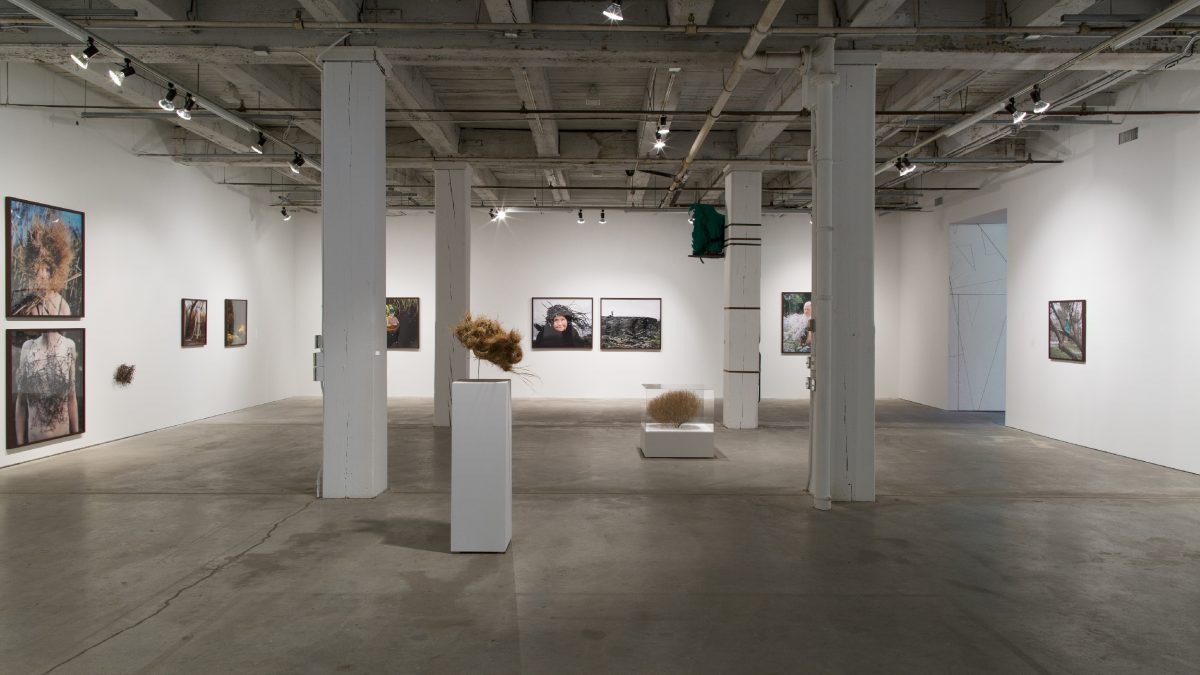 Youngleaf Galleries