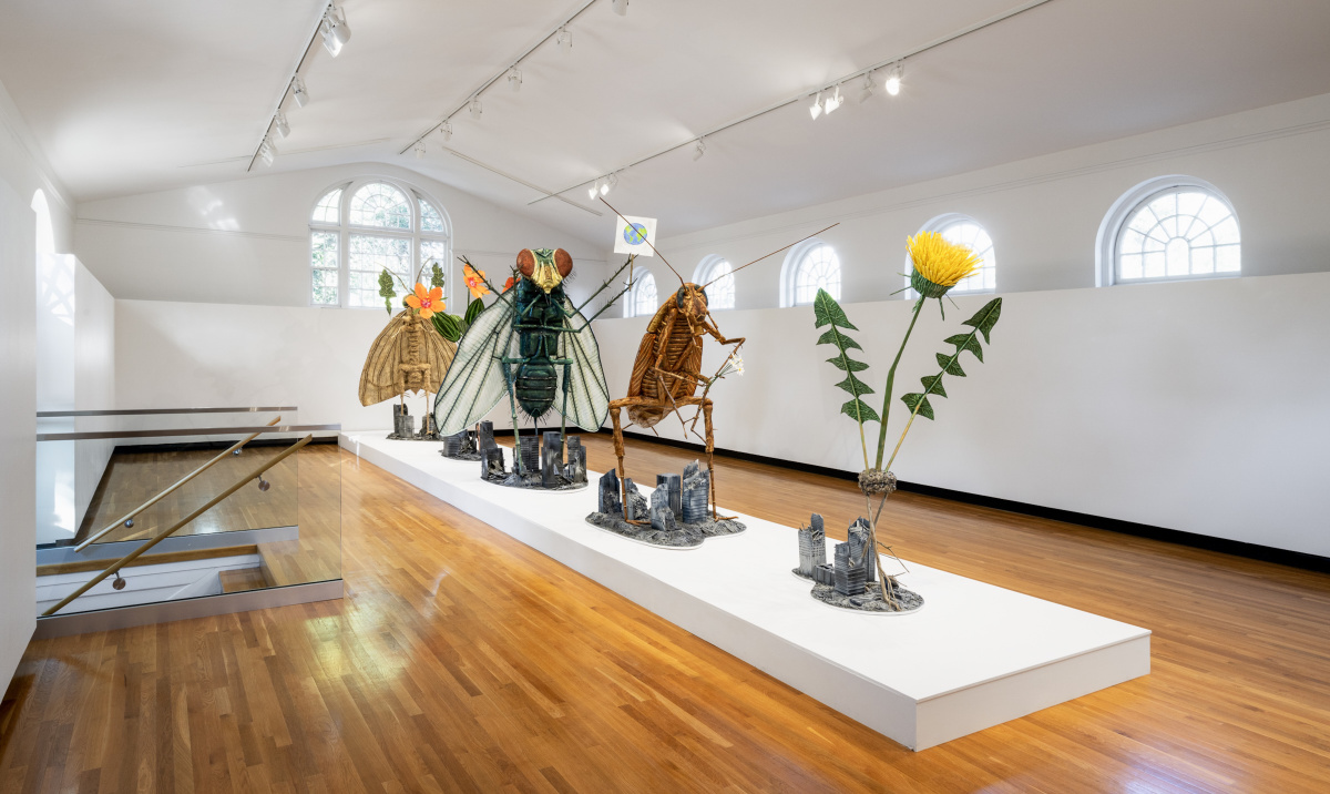 Jude Griebel Next World Emissaries Jude Griebel